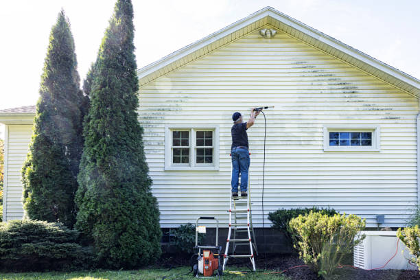 Best Solar Panel Cleaning  in Woodall, OK
